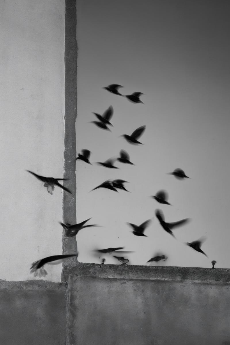 00075-382044854-_lora_Photographer Elena Helfrecht Style_1_Photographer Elena Helfrecht Style - a flock of birds flying around a building next t.png